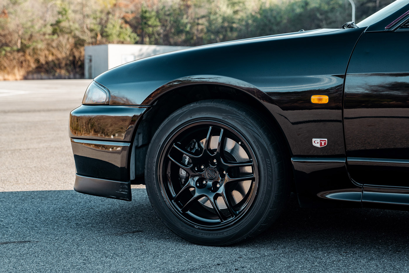 Nissan-Skyline-GTR3300034