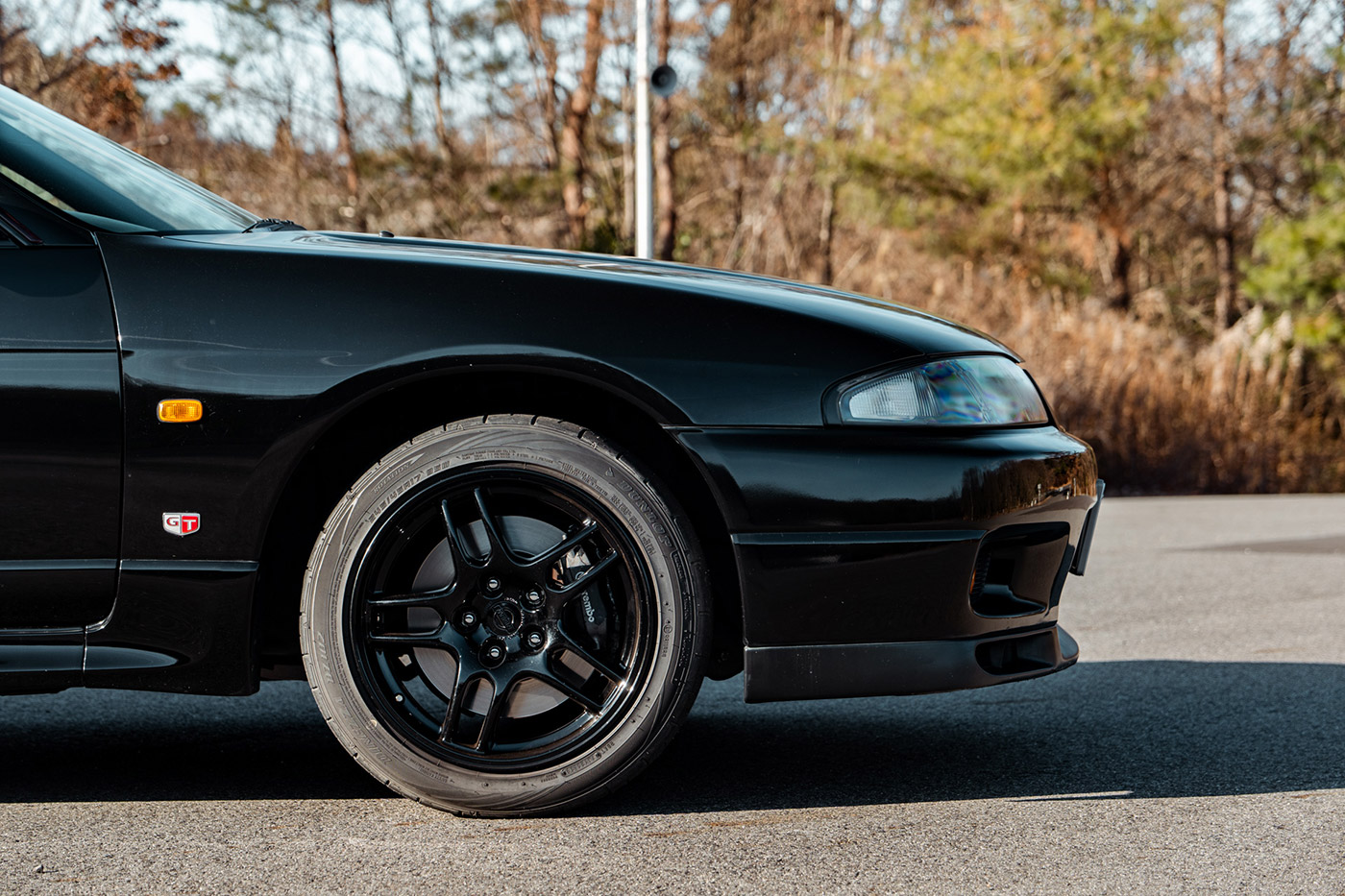 Nissan-Skyline-GTR3300046