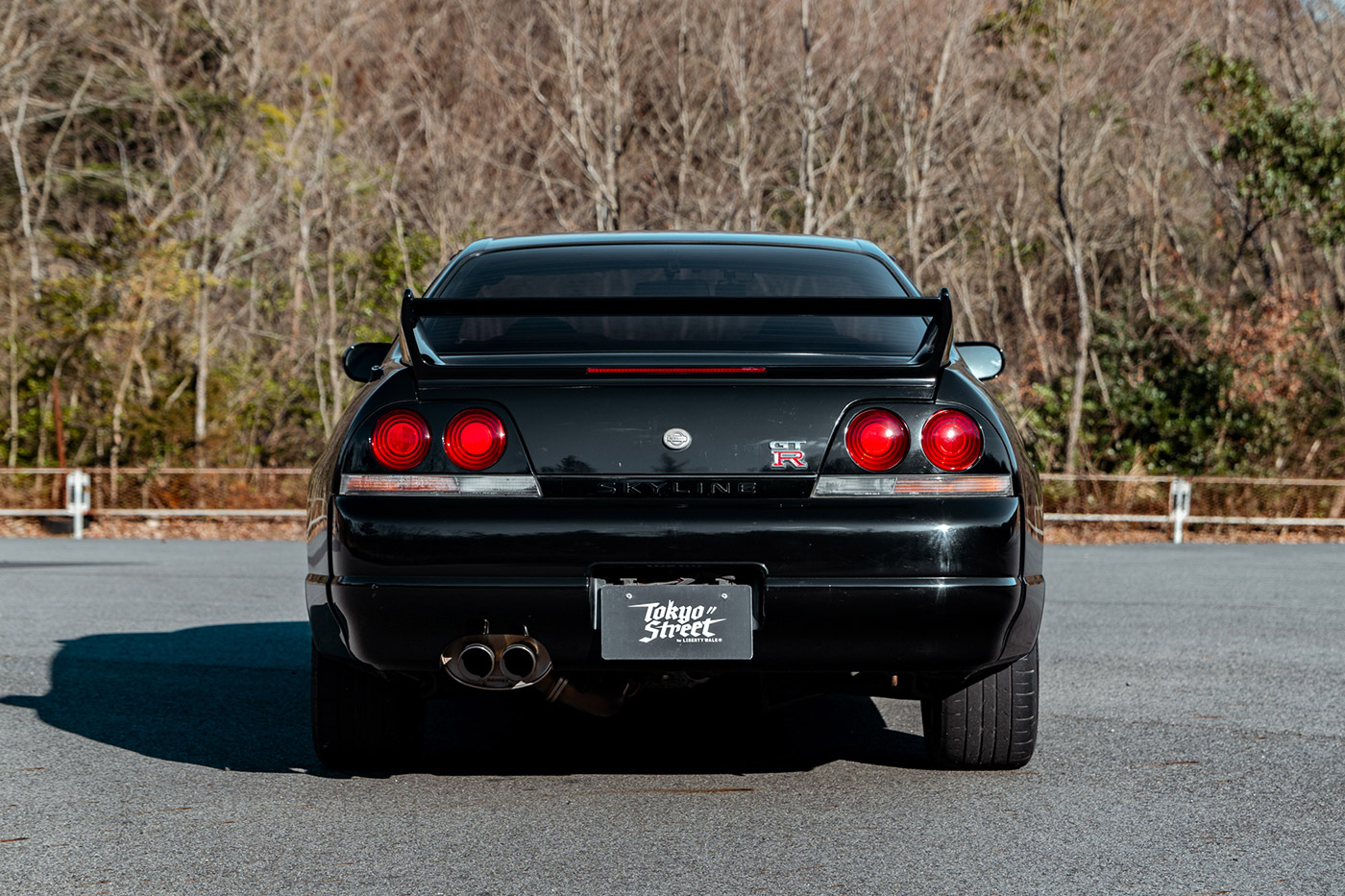 Nissan-Skyline-GTR3300056