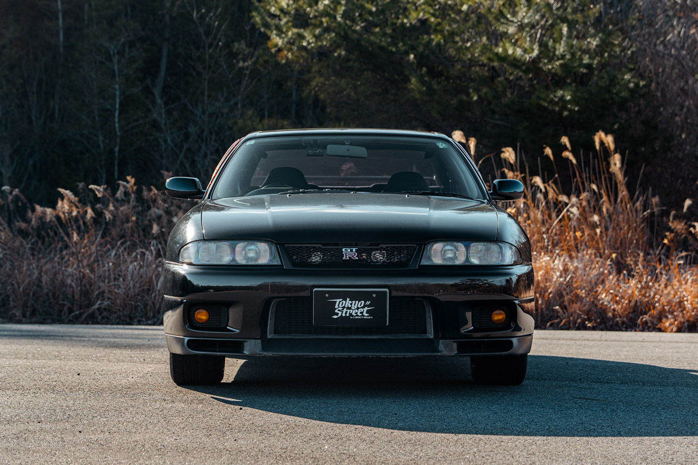 Nissan-Skyline-GTR3300060