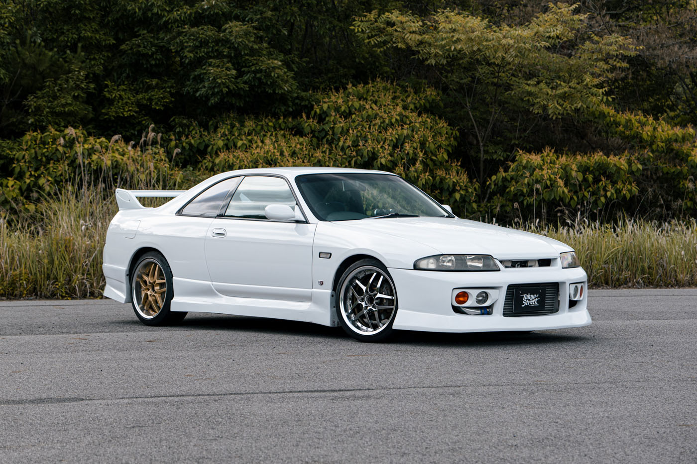 NISSAN ECR33 SKYLINE00003