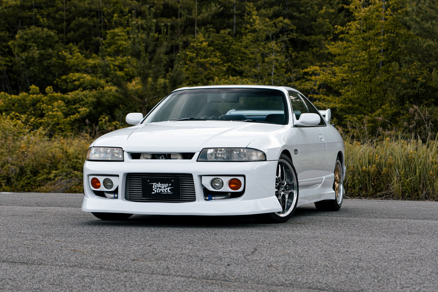 NISSAN ECR33 SKYLINE00005
