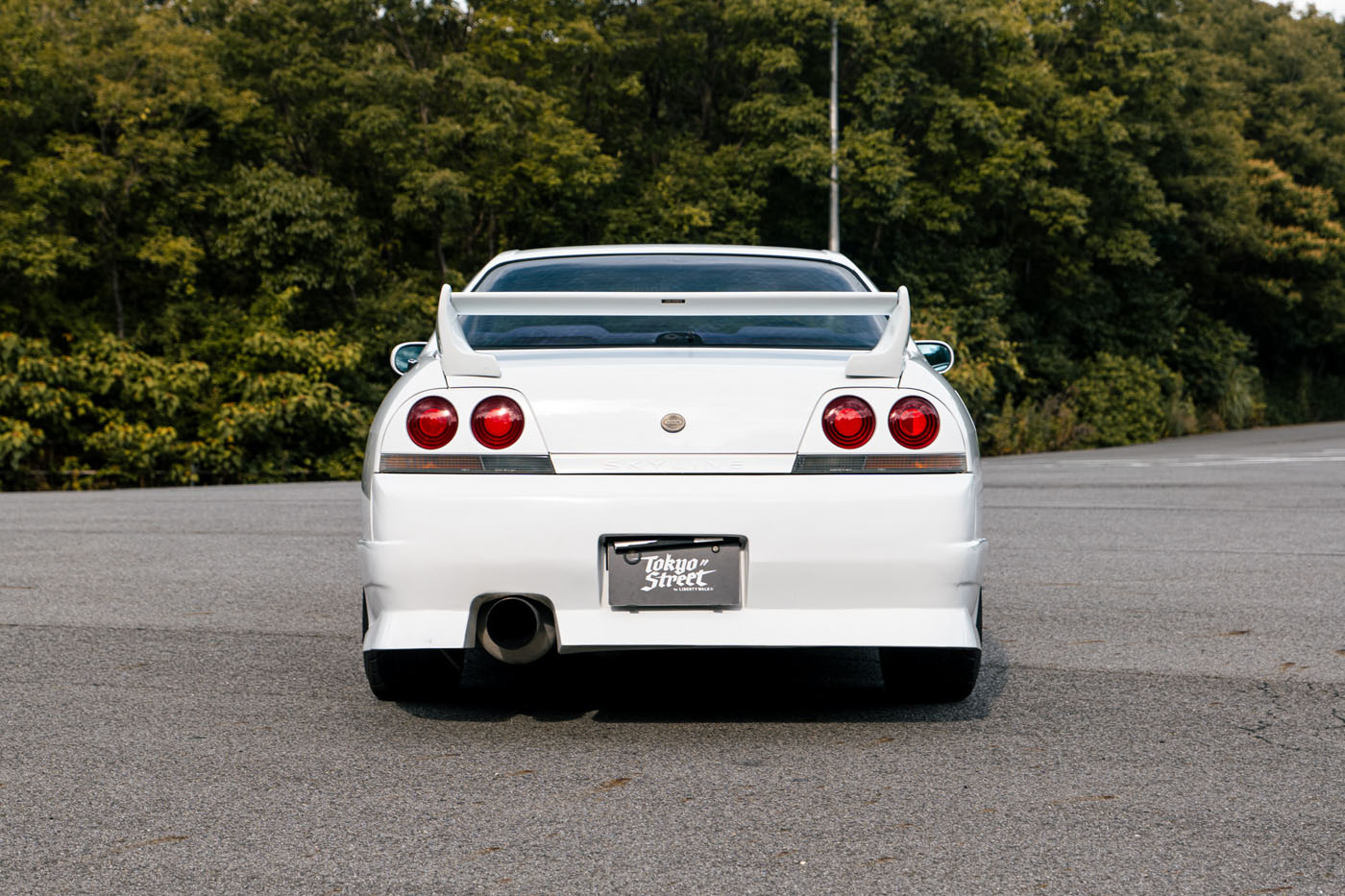 NISSAN ECR33 SKYLINE00008