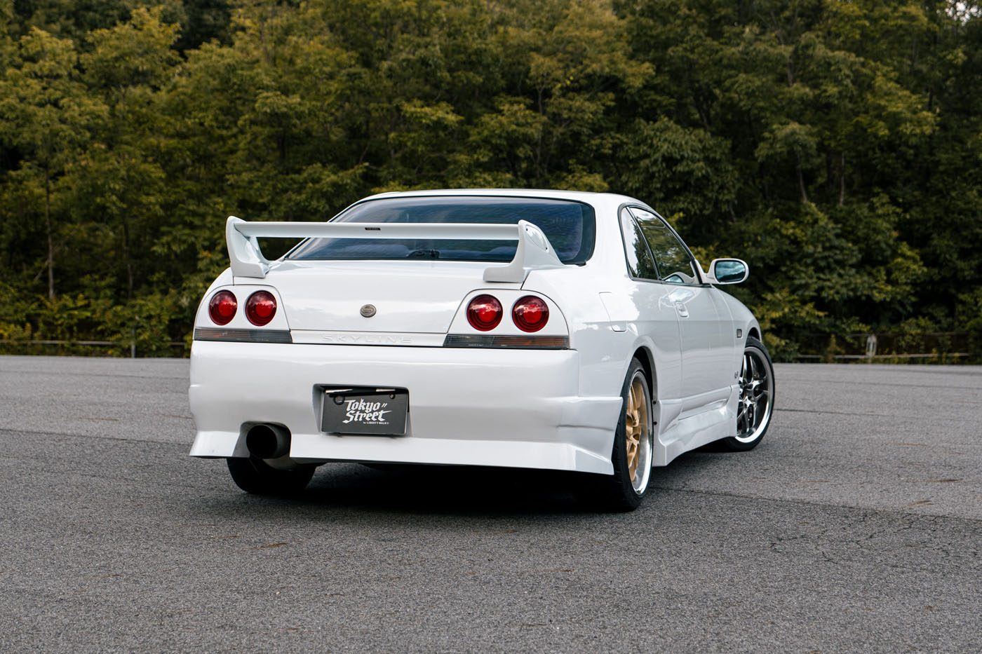 NISSAN ECR33 SKYLINE00009